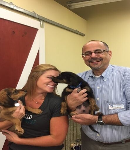Coastal Community Bank donates pet food to Homeward Pet - dog licking lady face