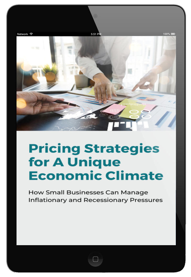 Pricing Strategies for A Unique Economic Climate eBook cover